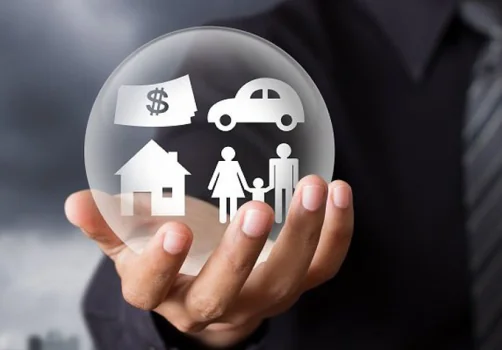 Asset-Protection-img