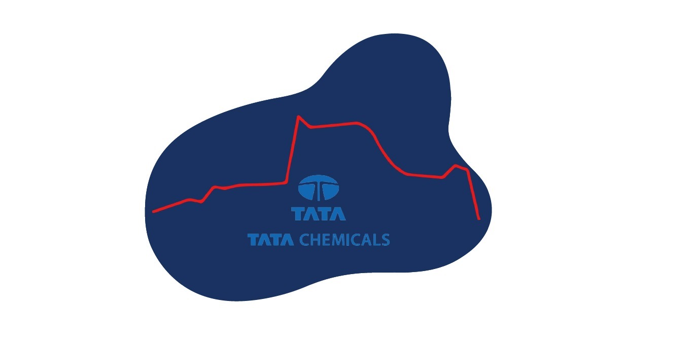 Why Did Tata Chemicals Fall in 2021?