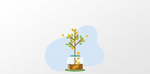 True Role of an Equity Investment Advisor