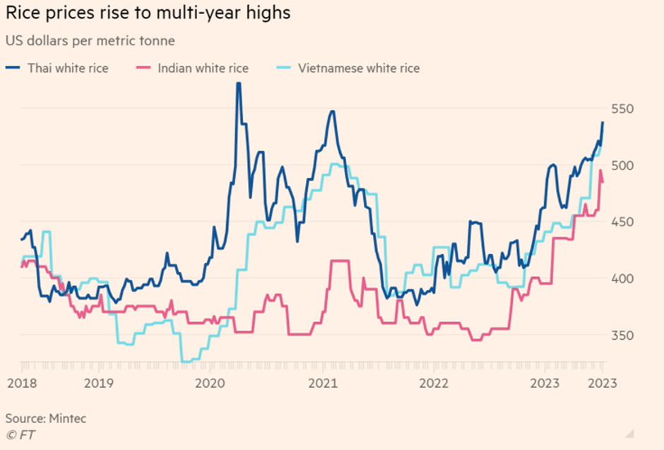 The Barbenheimer Phenomenon: Hollywood's Spectacular Revival at the Indian Box Office 10 image 120