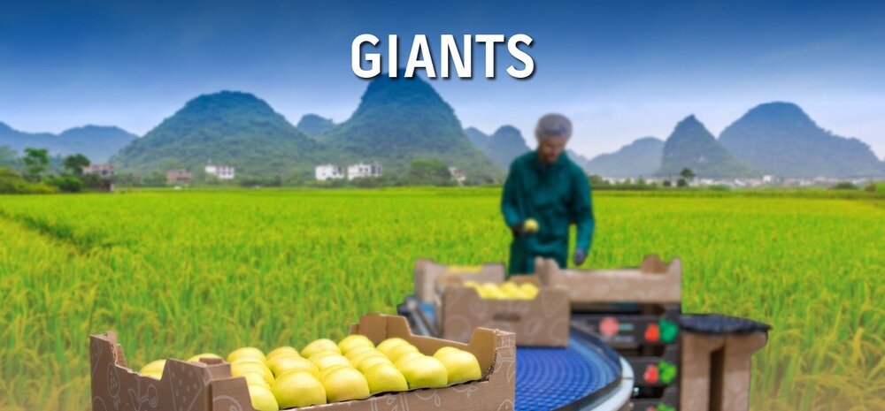 Celebrating Agriculture this Makar Sankranti revised 03