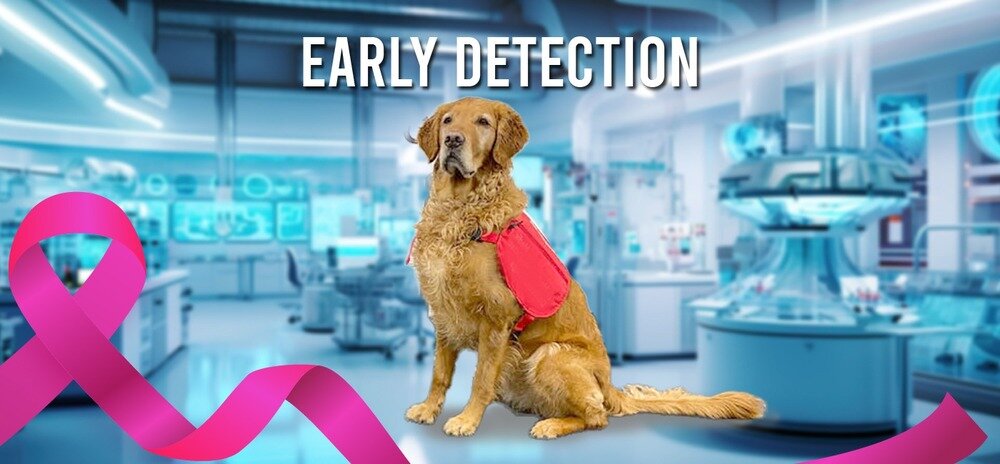 01 04 The Key to Victory Early Detection 1