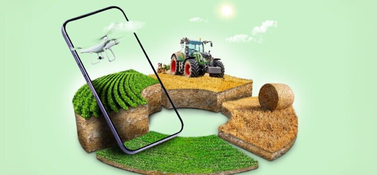 Dirt to $700 Million Disruption: Agritech DeHaat Empowering Farmers Since 2012