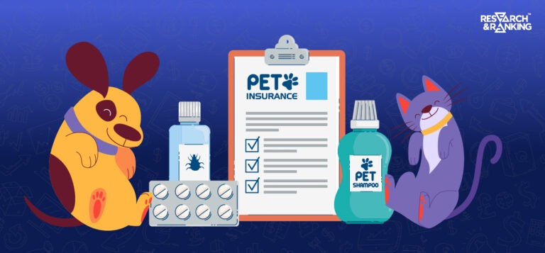 feb blogs 13 does your pet have an insurance policy types of insurance policies