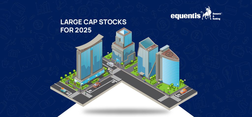 January 2025 SEO 06 10 large cap stocks for 2025 01 01