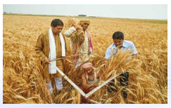 Is it Worth Investing in ITC Share for Long Term? - Research & Ranking 20 download 70