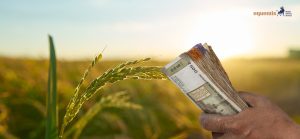 PM Kisan 24th Instalment Before Diwali: PM Modi Releases ₹18,680 Crore for 9.34 Crore Farmers on October 30